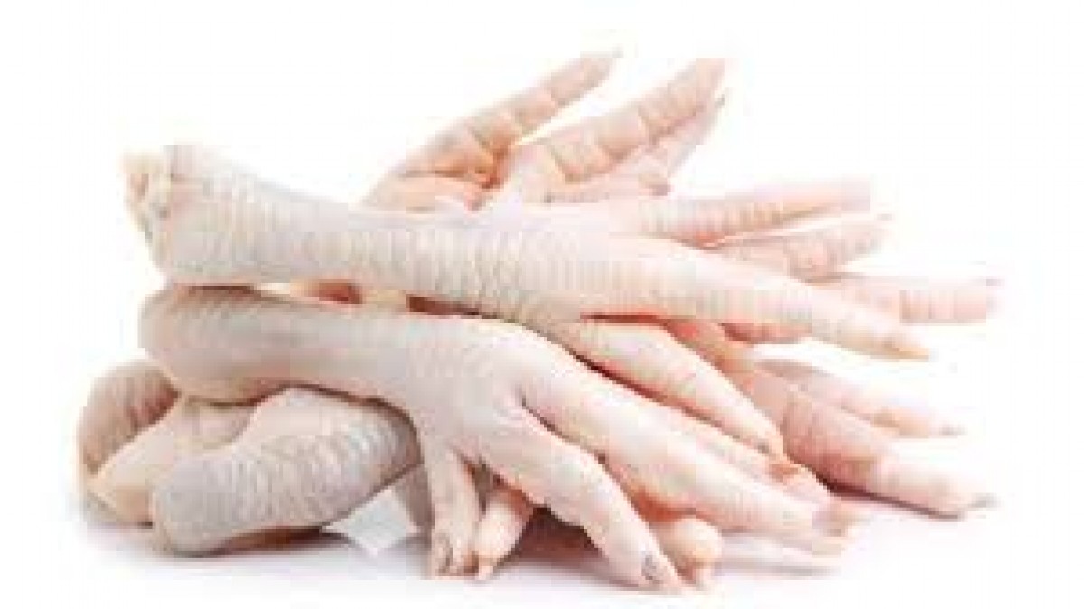Chicken Feet Brazil from Brazil